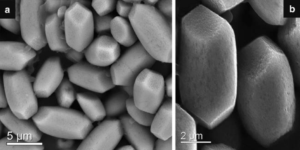 Figure: Electron micrograph of healthy human otoconia (Thomas, Rosseeva et al. 2012).