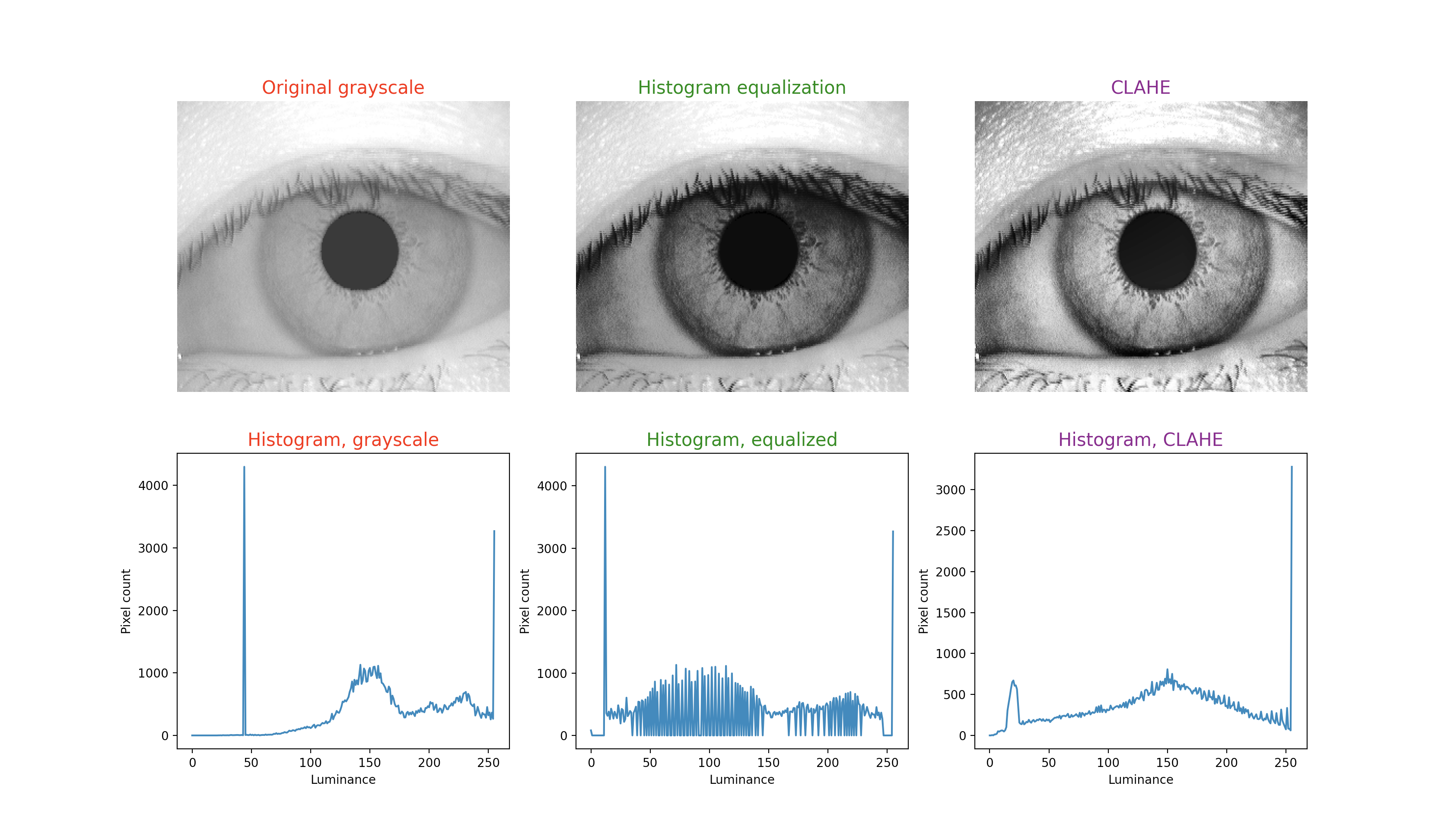 Figure 3: Upper left image is the unprocessed sample 016-01-01 from the CASIA database. This has been converted by histogram equalization in the upper middle image, and by CLAHE in the upper right image. Below each iris image is the corresponding histogram.