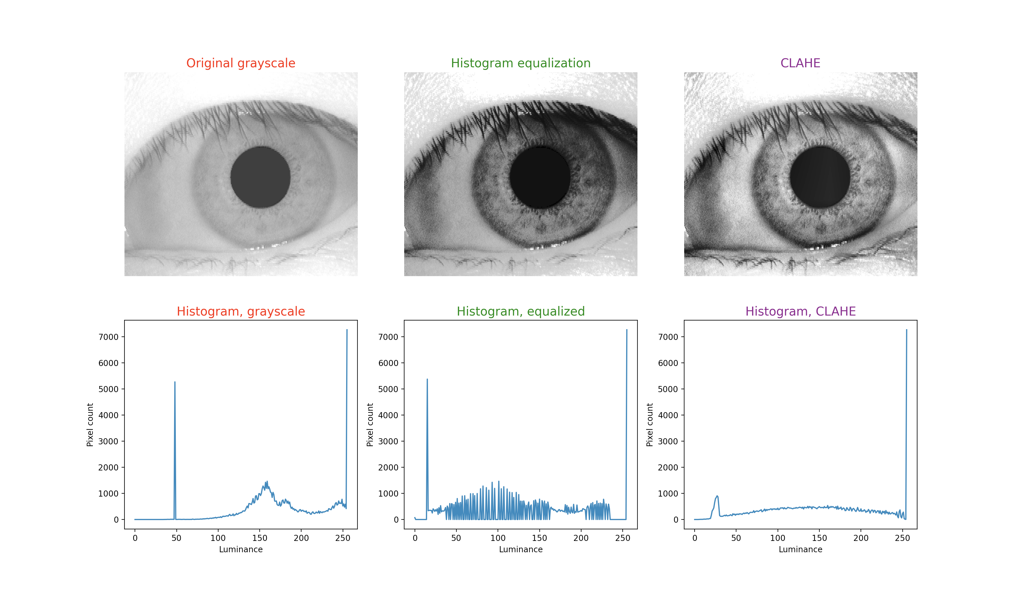 Figure 2: Upper left image is the unprocessed sample 009-01-01 from the CASIA database. This has been converted by histogram equalization in the upper middle image, and by CLAHE in the upper right image. Below each iris image is the corresponding histogram.
