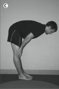 Figure C