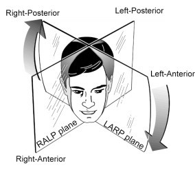 Figure: RALP and LARP planes, from Aw et al. (2010).