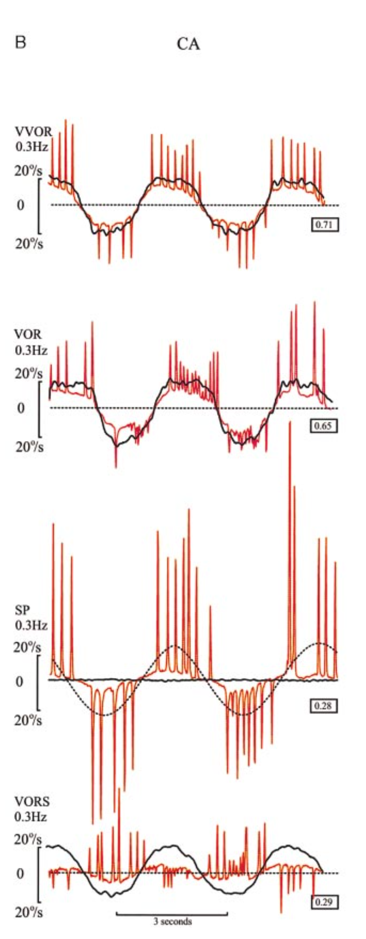 Figure: Cerebellar ataxia patients, testing of VVOR (visual vestibulo-ocular reflex), VOR (vestibulo-ocular reflex), SP (smooth pursuit) and VORS (vestibulo-ocular reflex visual suppression).  From Migliaccio et al. (2004).