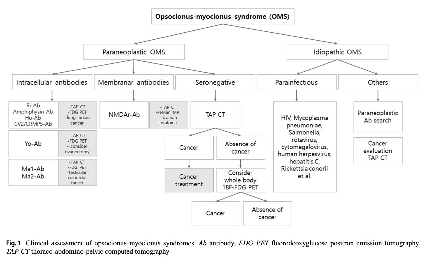 Figure: Diagnostic workup for adult-onset opsoclonus-myoclonus proposed by Oh and colleagues (2019).