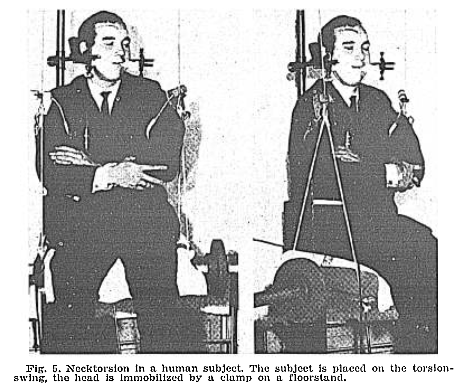 Figure: Experimental setup in which the patient’s head is maintained in a fixed position (in space) while the body rotates underneath.  From Jongkees (1969).