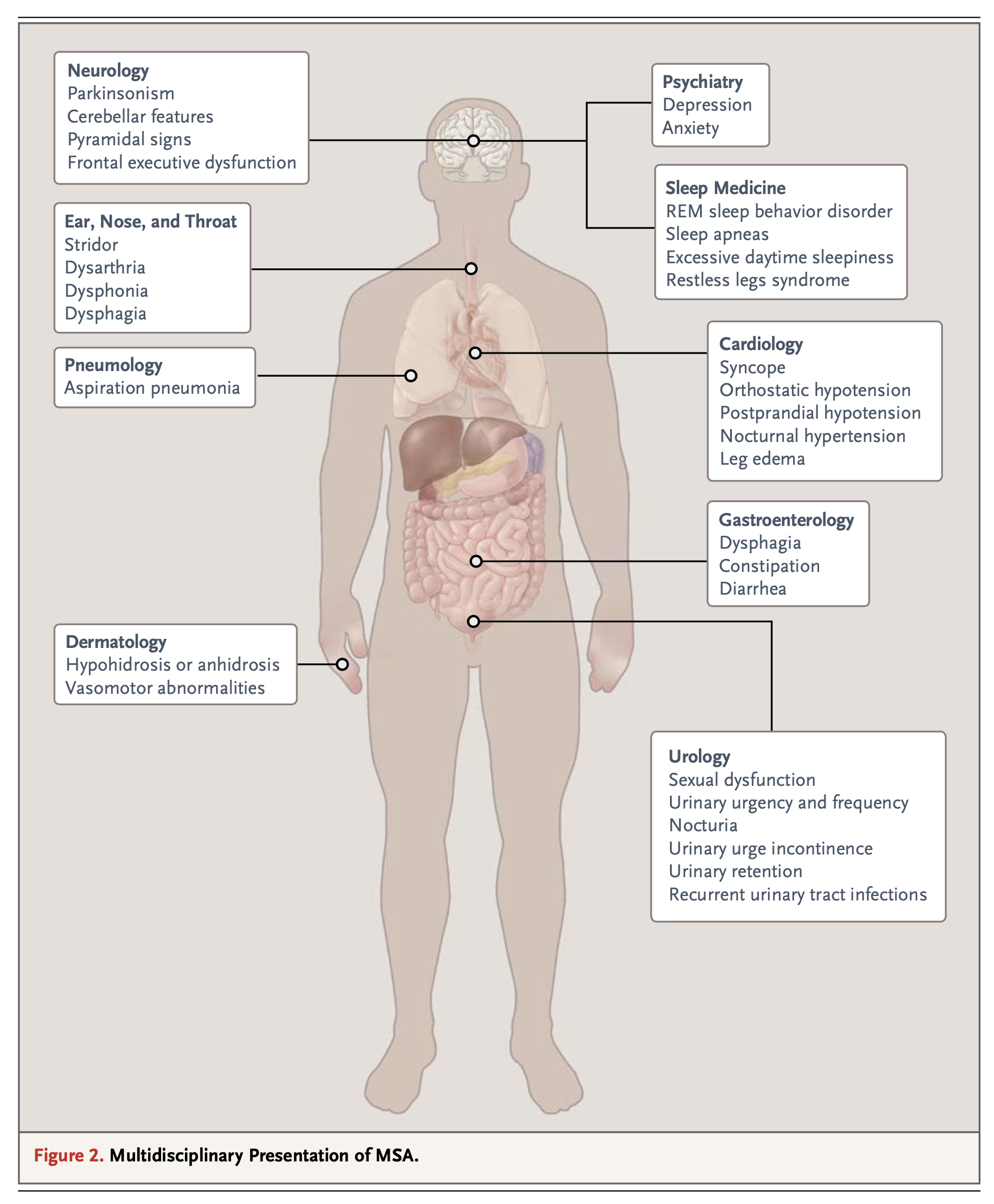 Figure: Multiple system atrophy can involve multiple organ systems.  From Fanciulli et al. (2015).