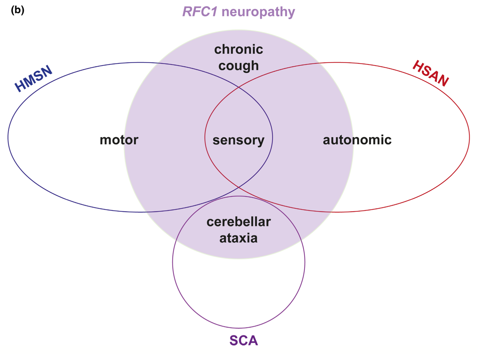 Figure: Spectrum of RFC1 diseases.  From Beijer et al. (2022).