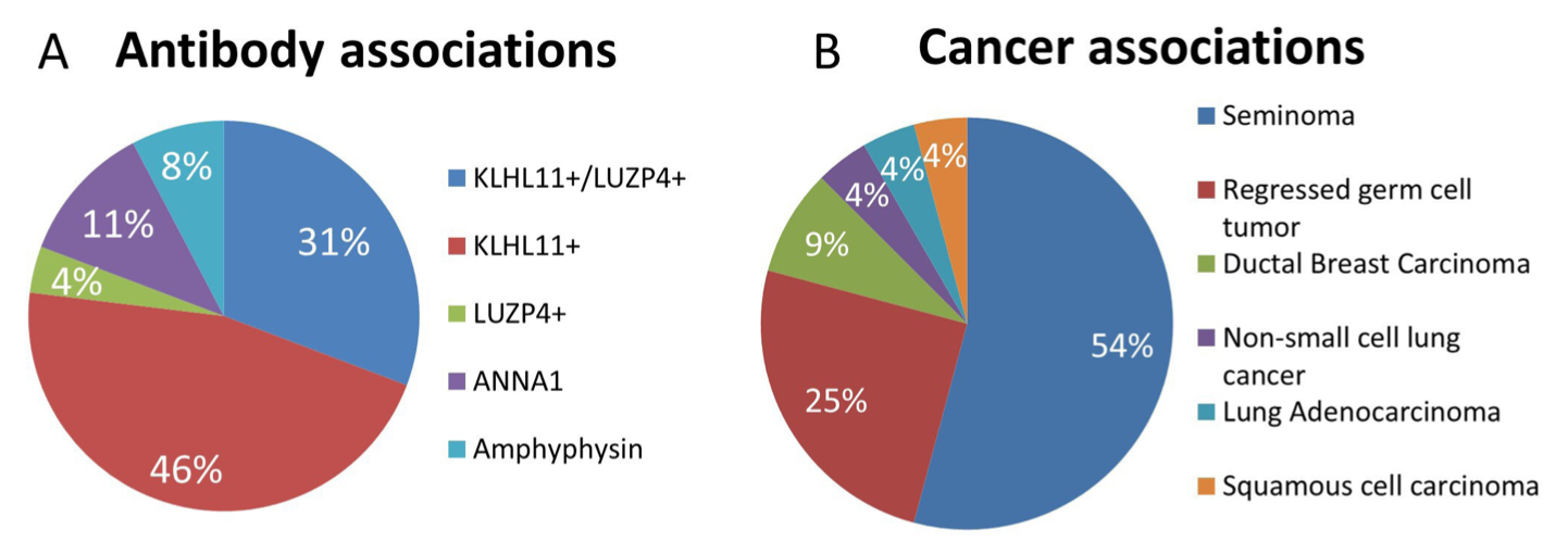 Figure: The proportions of antibodies and associated cancers in 26 patients with paraneoplastic syndromes who had cochlear and/or vestibular symptoms.  From Hammami et al. (2021).