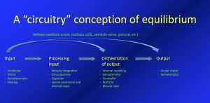 Figure: A "circuitry" approach to equilibrium. From Marcello Cherchi.