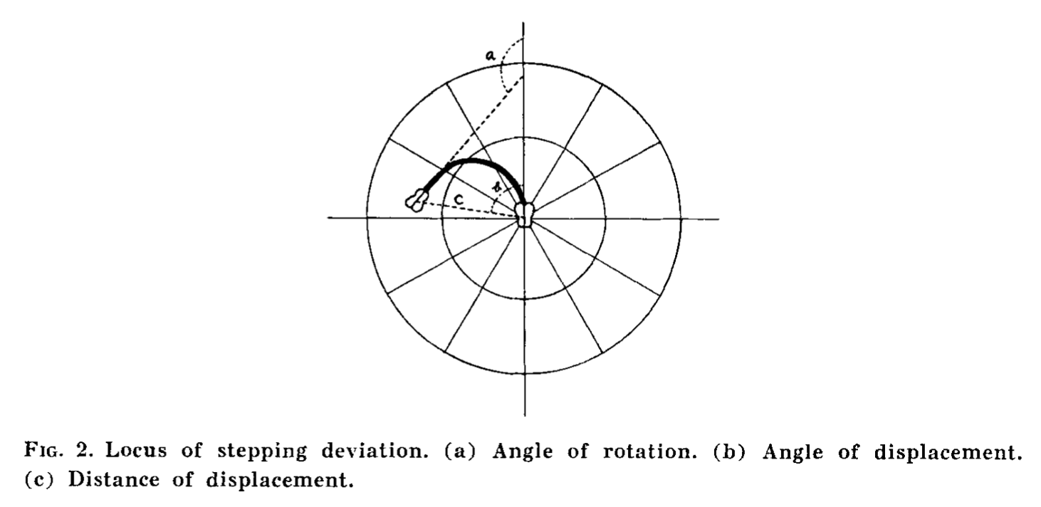 Figure: A plot of the patient's position and rotation over the course of the "in-place marching."  From Fukuda (1959).