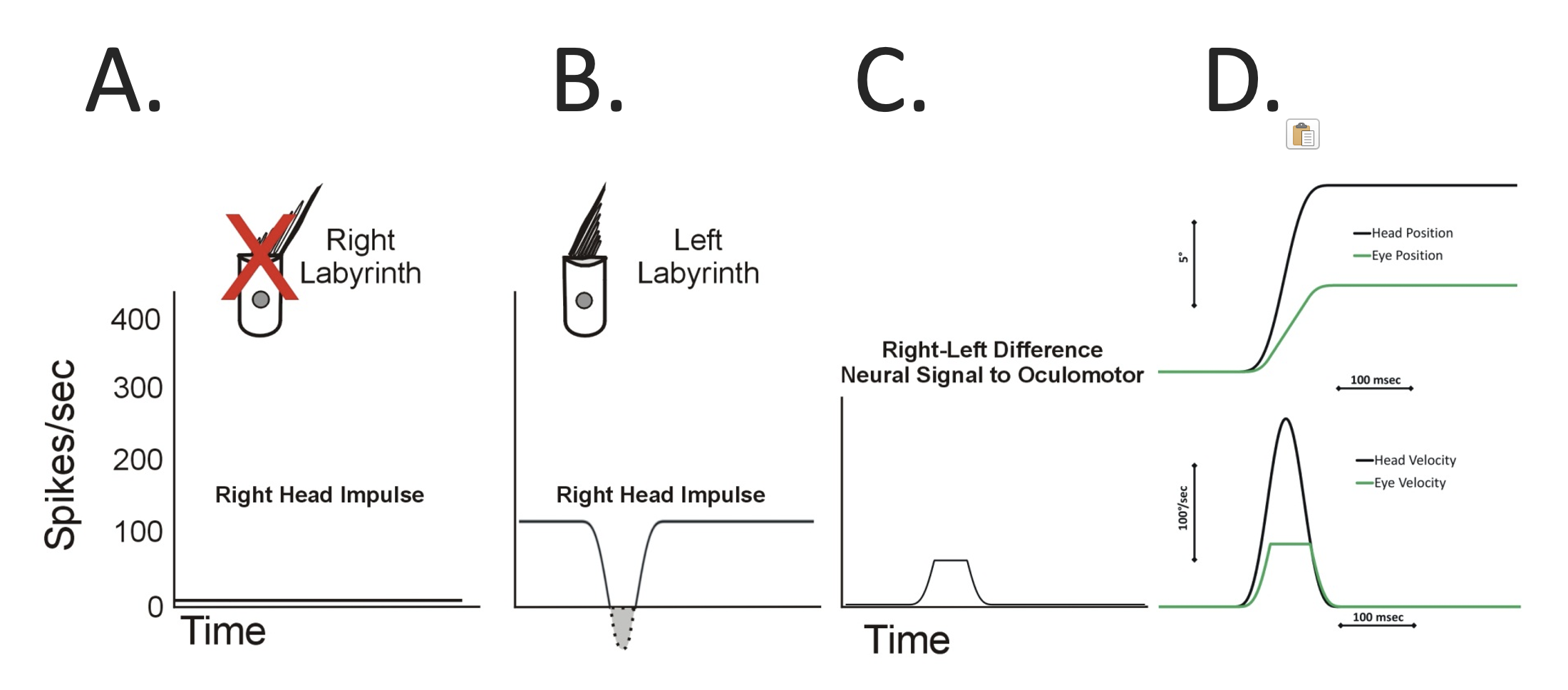 Video head impulse testing