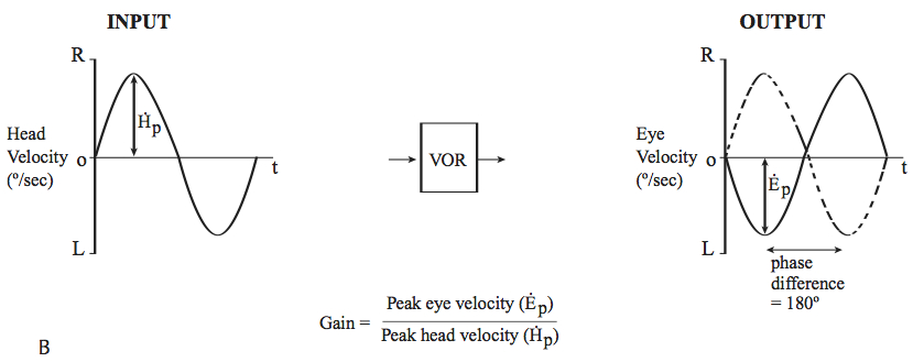 Figure: An ideal vestibulo-ocular reflex system for slow harmonic acceleration in which gain=1 and phase angle=180 deg.  From Leigh and Zee (2015).