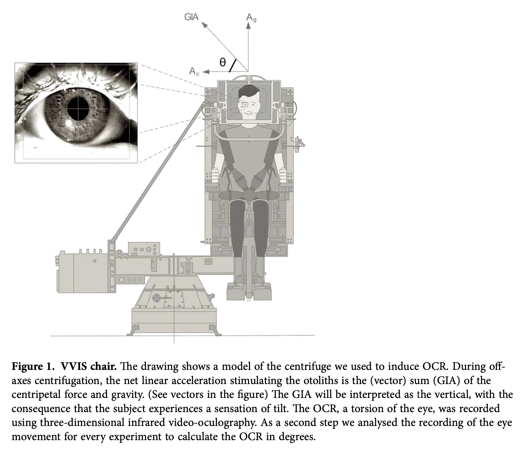Figure: Experimental human centrifuge setup.  From Hallgren et al. (2015).