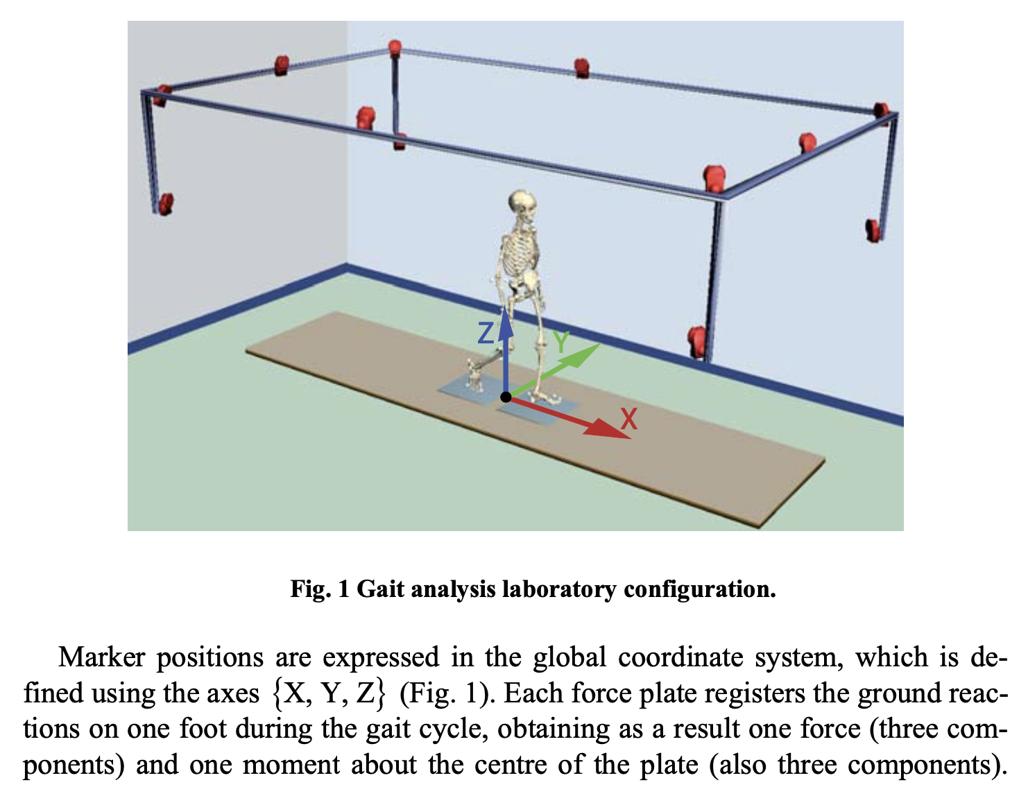 Figure: Gait lab camera setup for capturing motion of joint fiducials.  From Pamies-Vila et al. (2015).