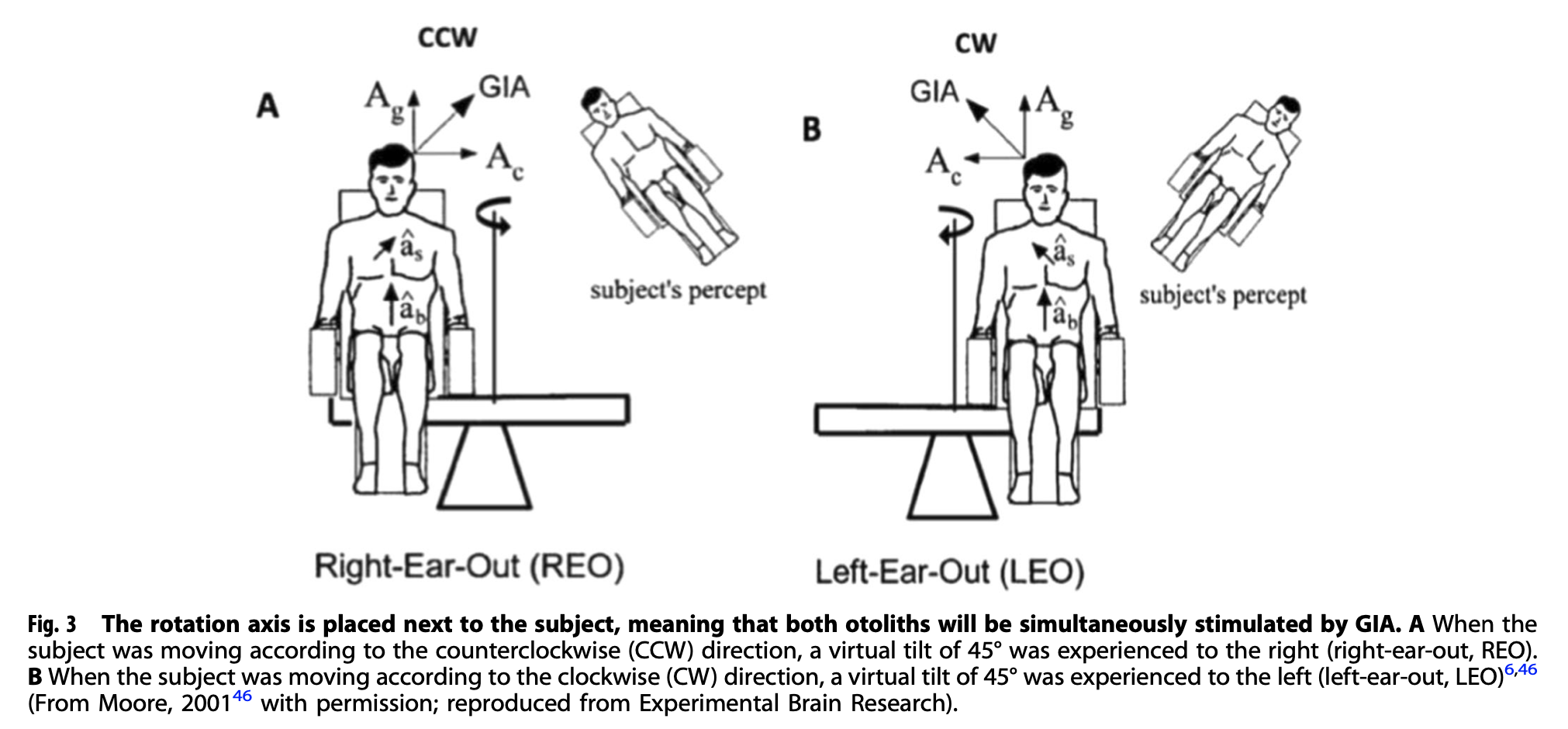 Figure: Human centrifuge setup to elicit utricular stimulation.  From Schoenmaekers et al. (2022).