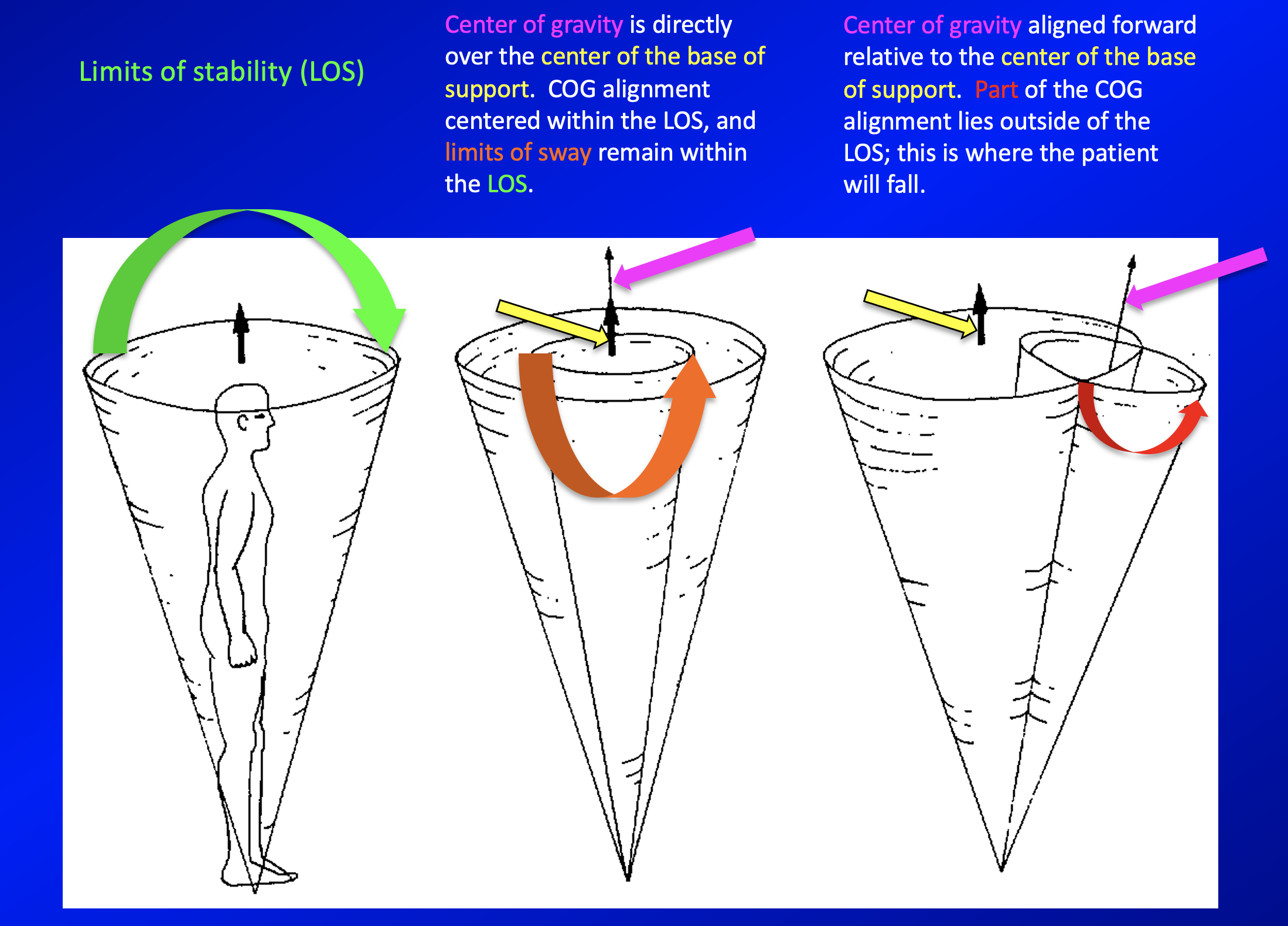 Figure: Illustration of the relationships among the center of gravity, base of support, center of gravity alignment and limits of sway.  Adapted from Nashner (1997).