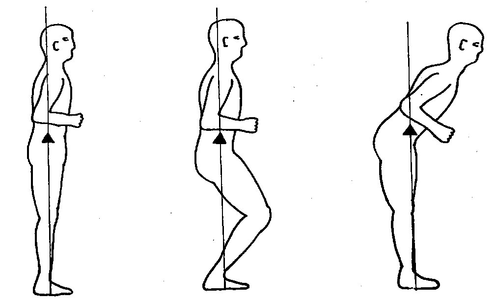 Figure: In a healthy person, the center of gravity (COG) remains immediately above the center of the base of support (BOS) despite changes in body configuration.  From Nashner (1997).