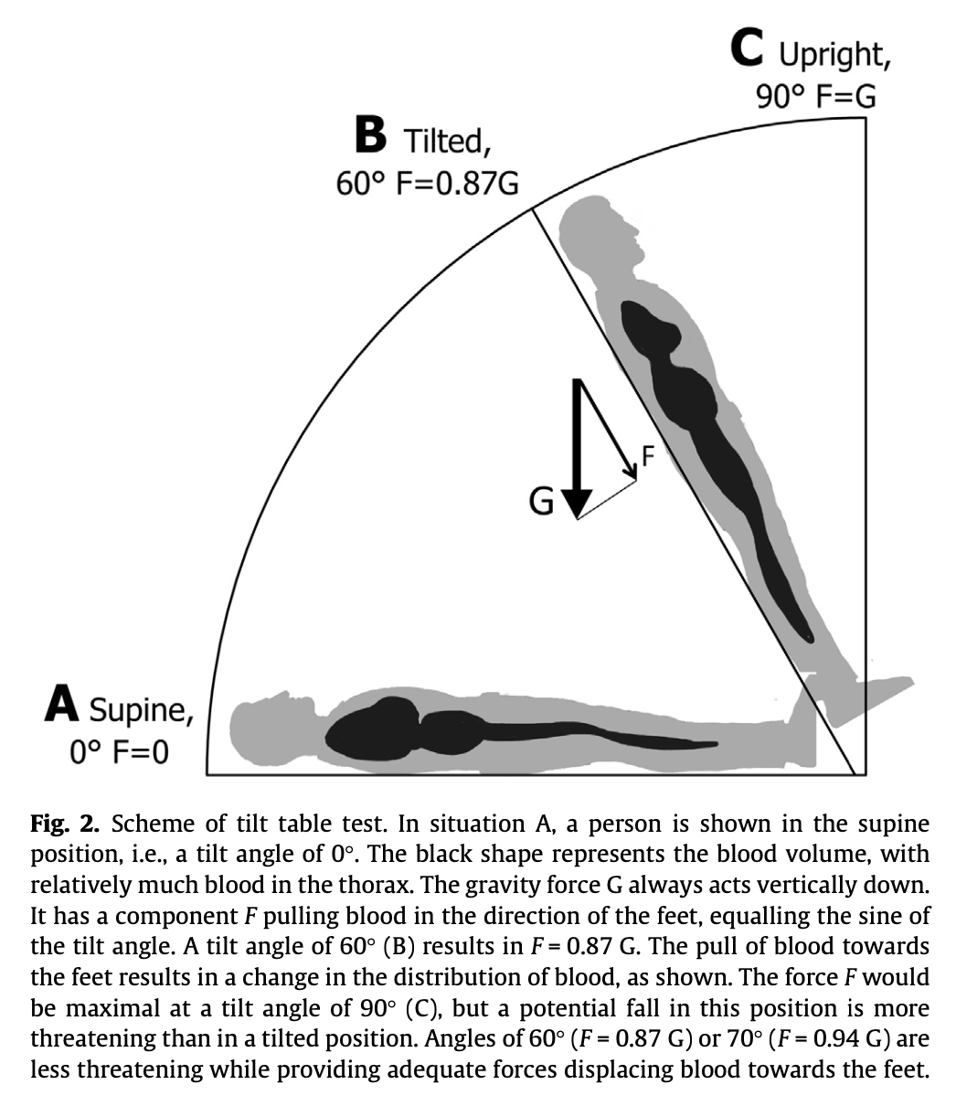 Figure: Redistribution of venous blood during tilt table testing.  From Sale et al. (2016).
