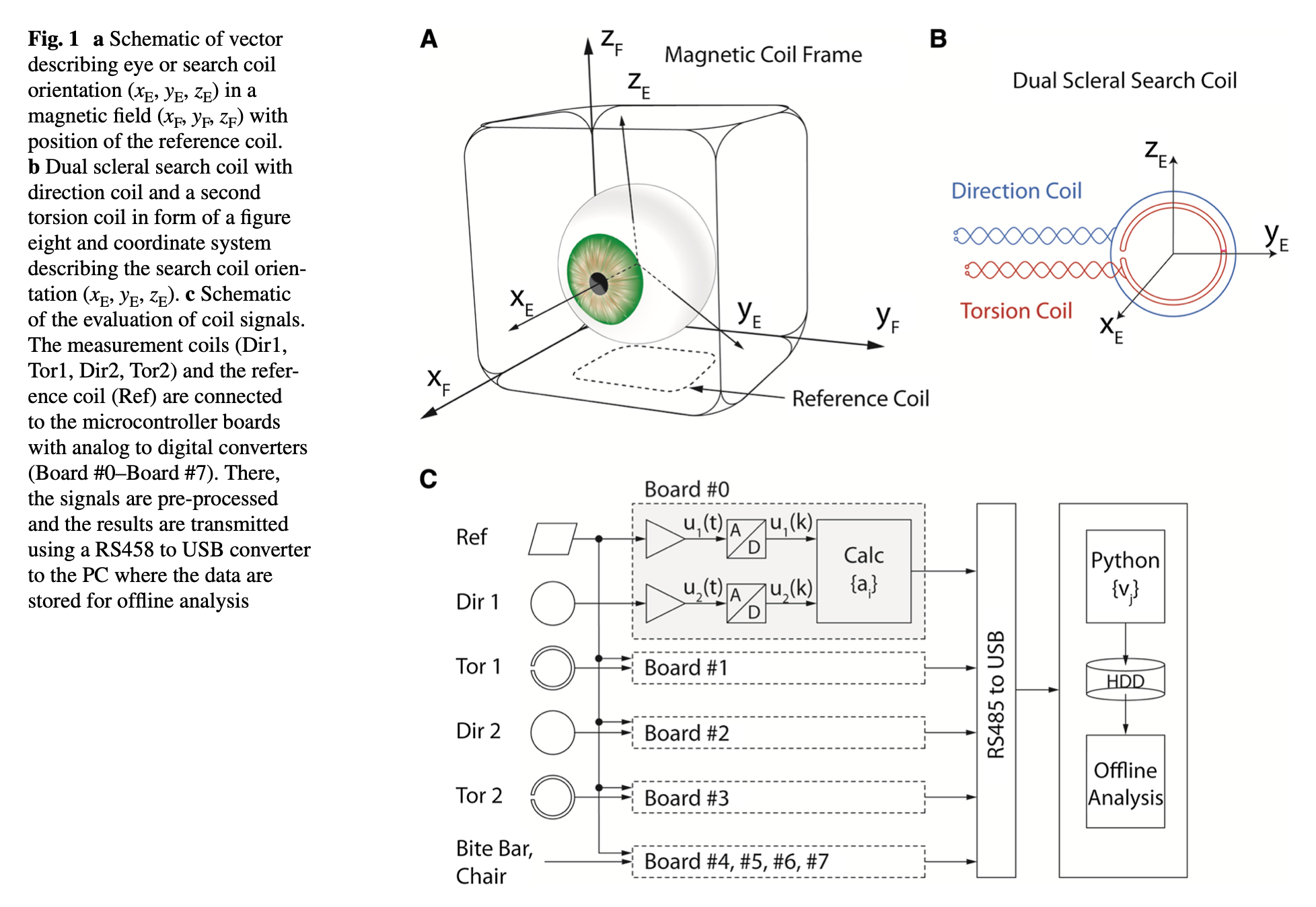 Figure: Schematic of the magnetic scleral search coil technique.  From Eibenberger et al. (2016).