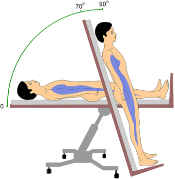 Figure: Schematic of the two positions from a common tilt table test protocol.  From Cheshire and Goldstein (2019).
