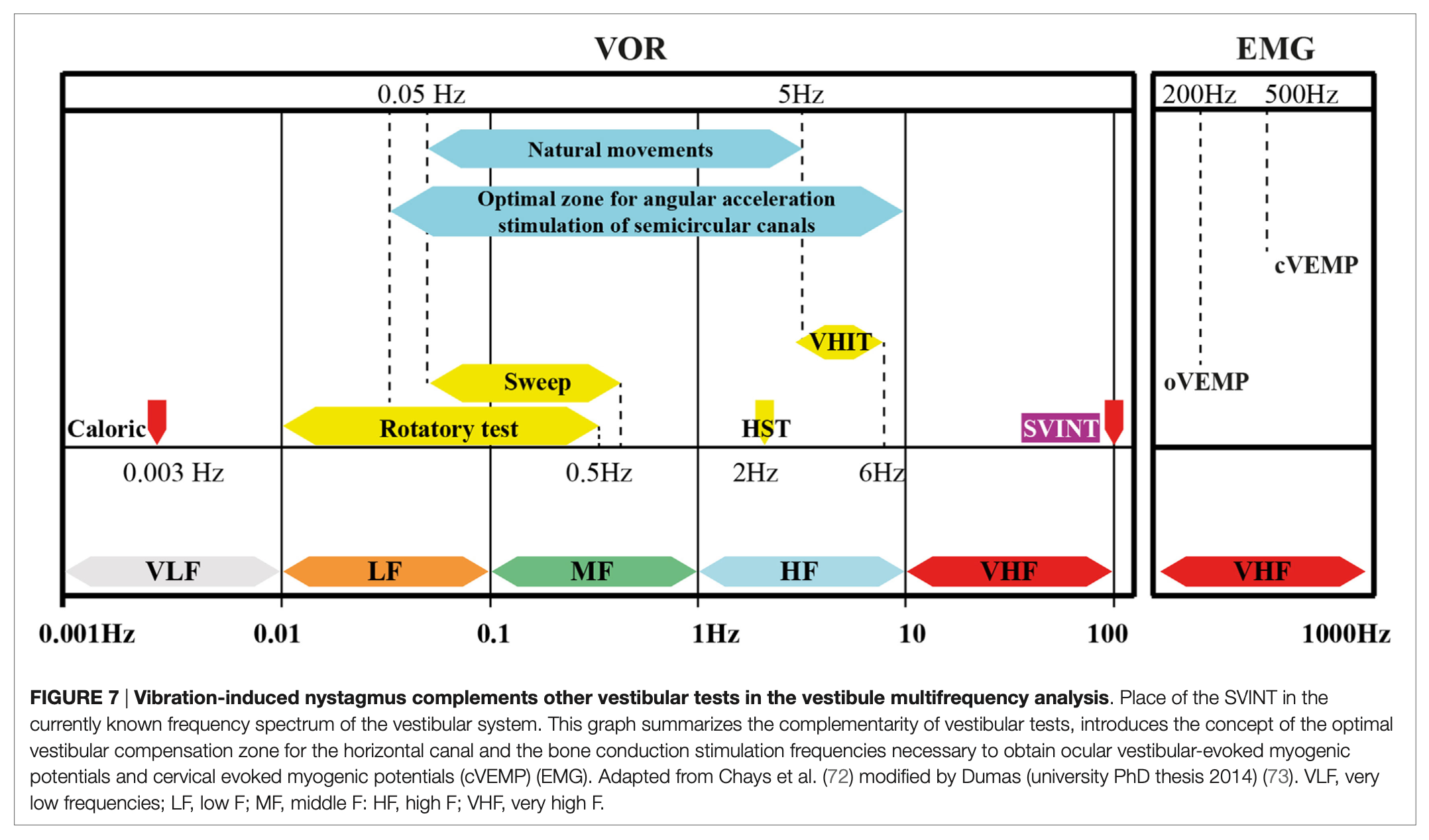 Figure: Vestibular tuning spectrum.  From Dumas et al. (2017).