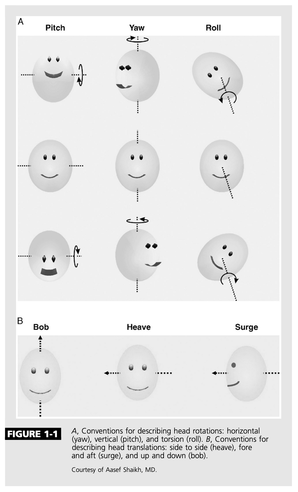 Figure: Axes of translation and rotation.  From Zee (2006).