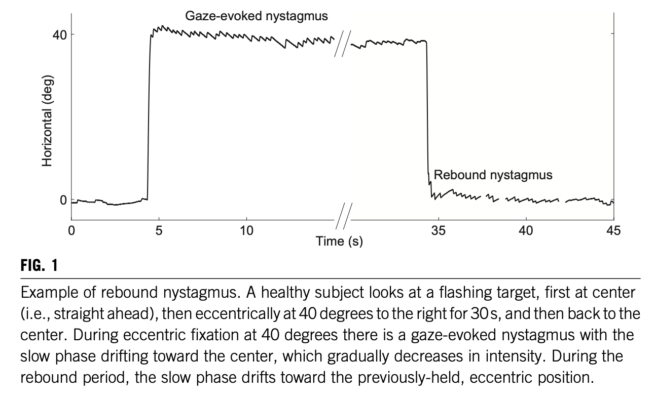 Figure: Gaze-evoked nystagmus and rebound nystagmus in a healthy individual.  From Otero-Millan et al. (2019).