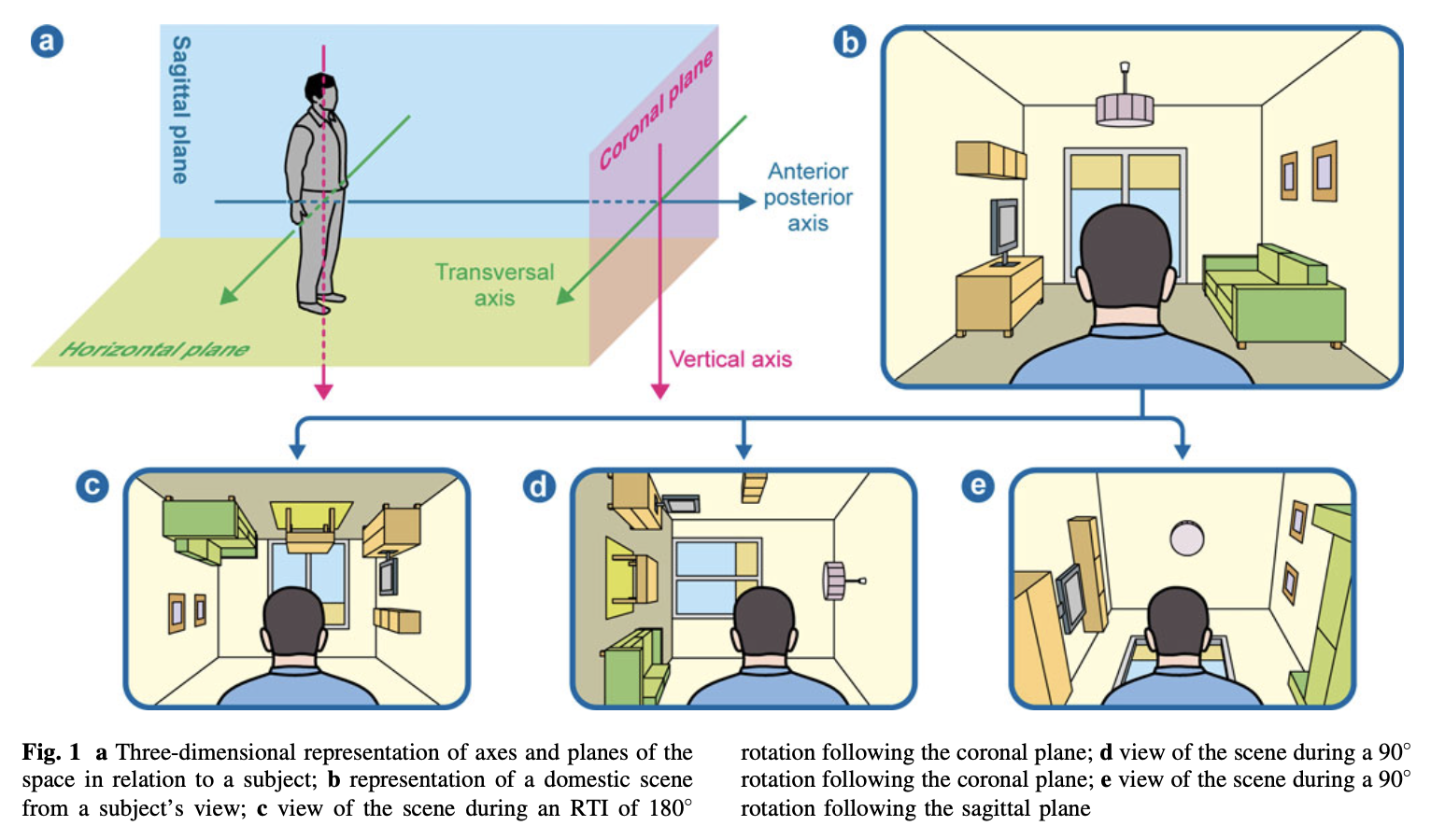 Figure: Illustration of the various misperceived orientations involved in tilt illusions.  From Sierra-Hidalgo et al. (2012).