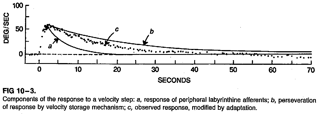 Figure: Components of step velocity testing.  From Stockwell and Bojrab (1997).